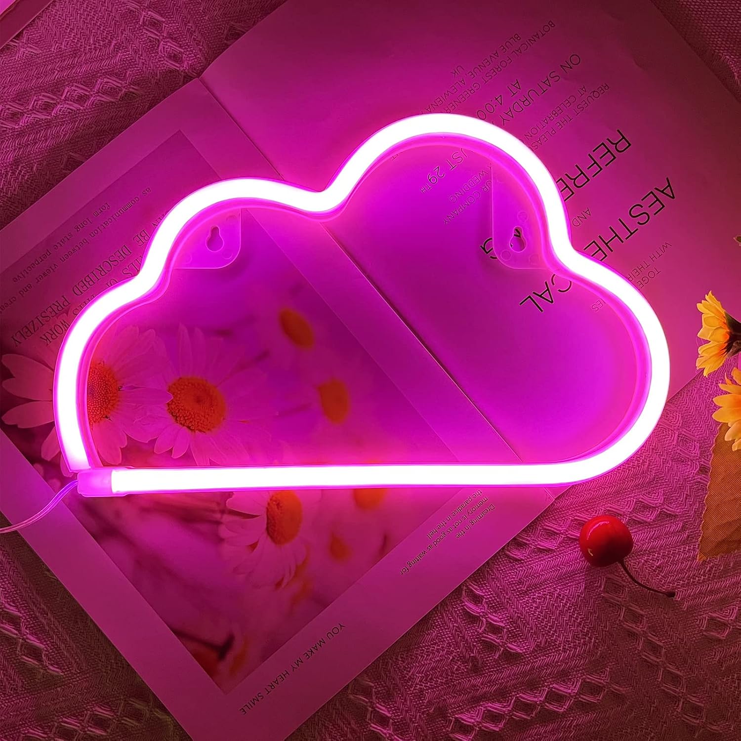 Soft Pink Cloud Neon Sign