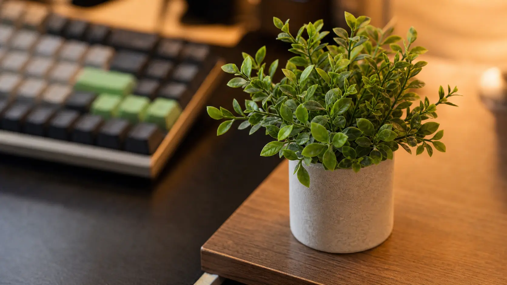 Close up of a small cute desk plant adding life to a wooden workspace